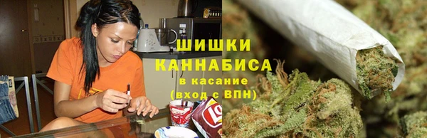 дмт Вяземский